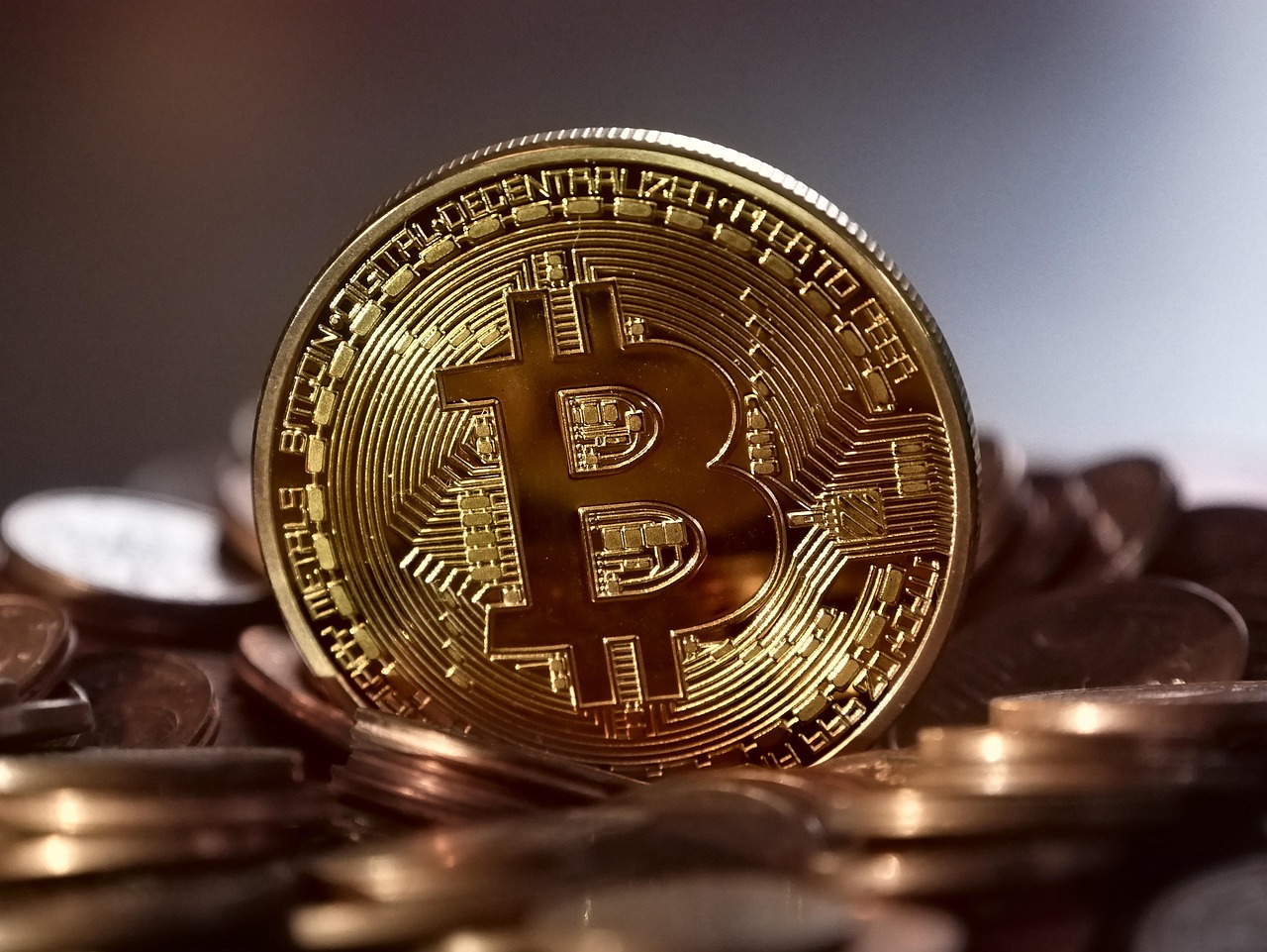 美国世界粮食计划署WFP宣布：接受BTC、ETH、USDC、DOGE、BONK等80种加密货币捐赠