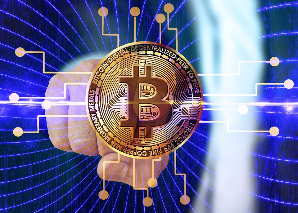 Meanwhile比特币寿险获4000万美元融资！Framework Ventures与Fulgur Ventures共同领投